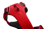 Front Range® Dog Harness product image