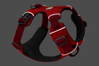 Front Range® Dog Harness product image