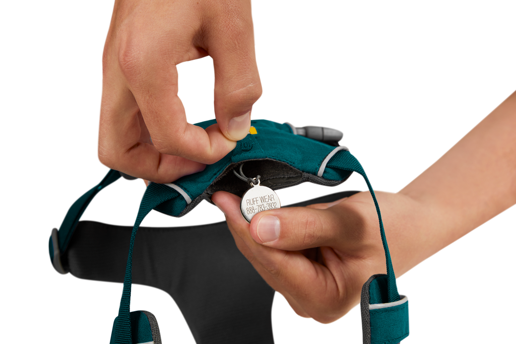 Front Range® Dog Harness product image