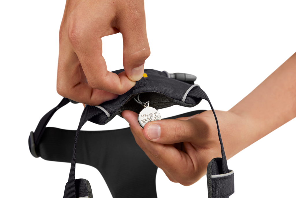 Front Range® Dog Harness product image