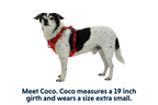 Front Range® Dog Harness product image