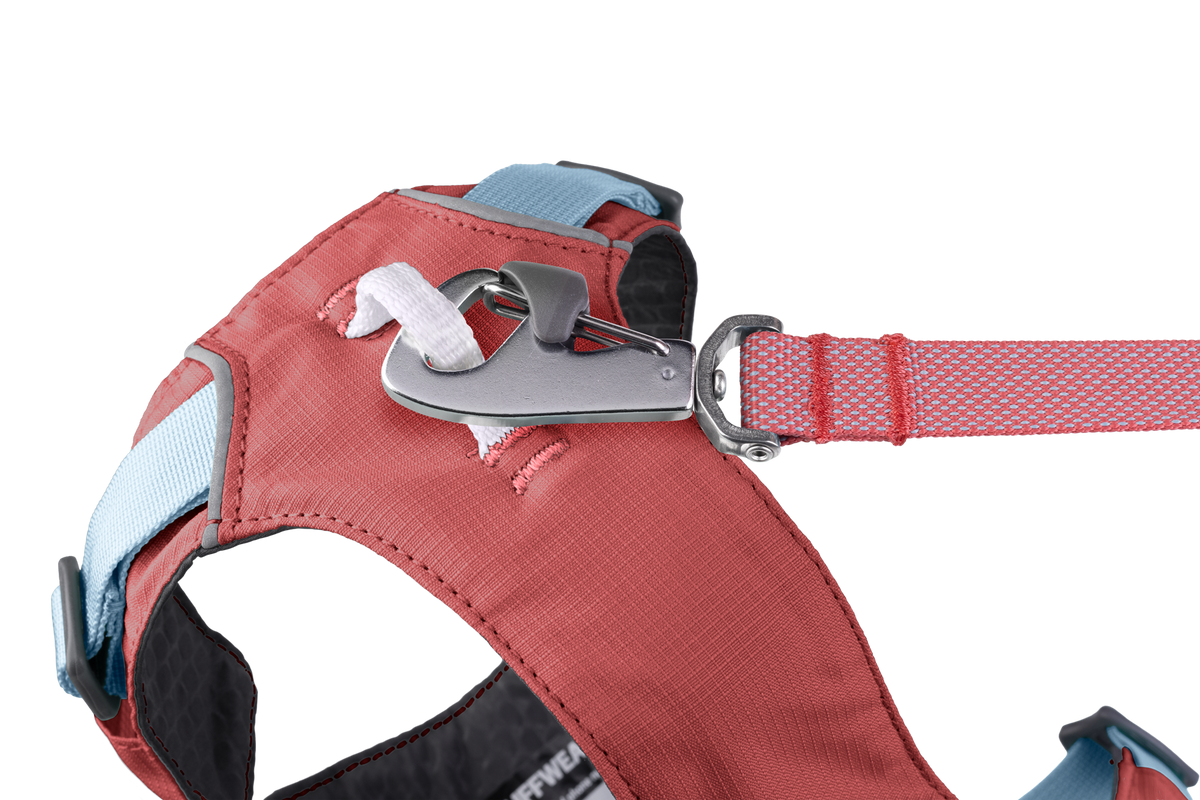 Flagline™ Dog Harness with Handle product image