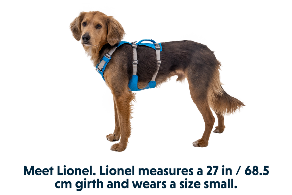 Flagline™ Dog Harness with Handle product image