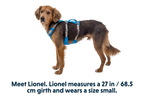 Flagline™ Dog Harness with Handle product image