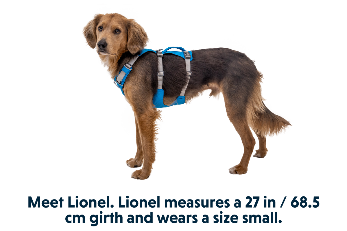 Flagline™ Dog Harness with Handle product image