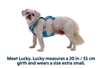 Flagline™ Dog Harness with Handle product image