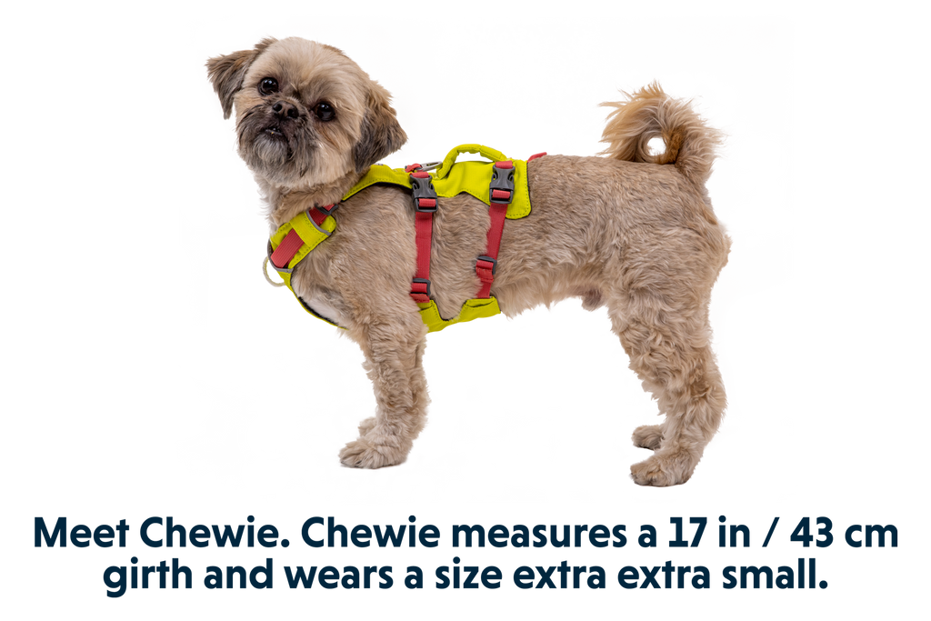 Flagline™ Dog Harness with Handle product image