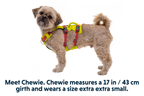 Flagline™ Dog Harness with Handle product image