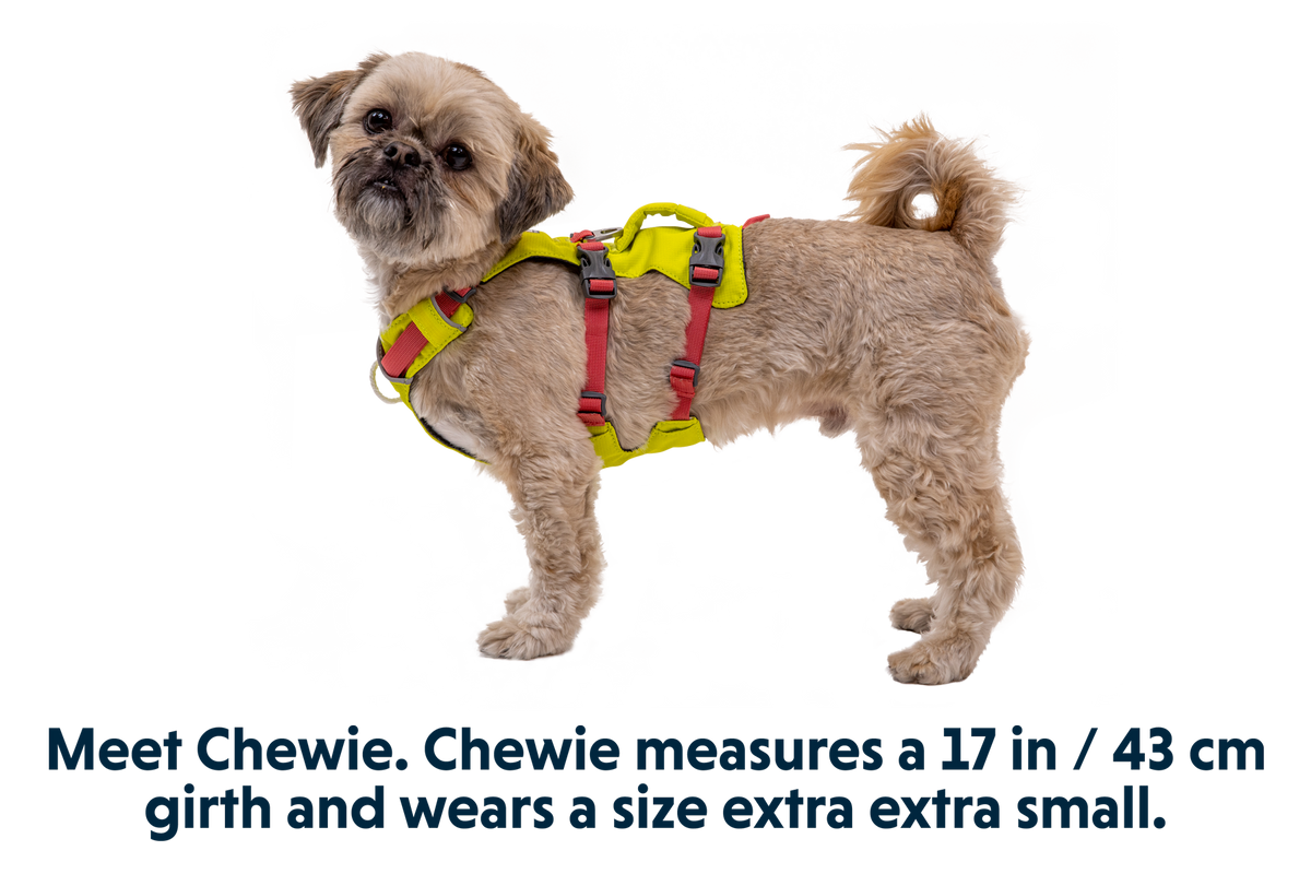 Flagline™ Dog Harness with Handle product image