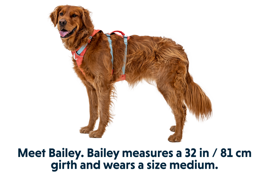 Flagline™ Dog Harness with Handle product image