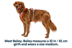Flagline™ Dog Harness with Handle product image