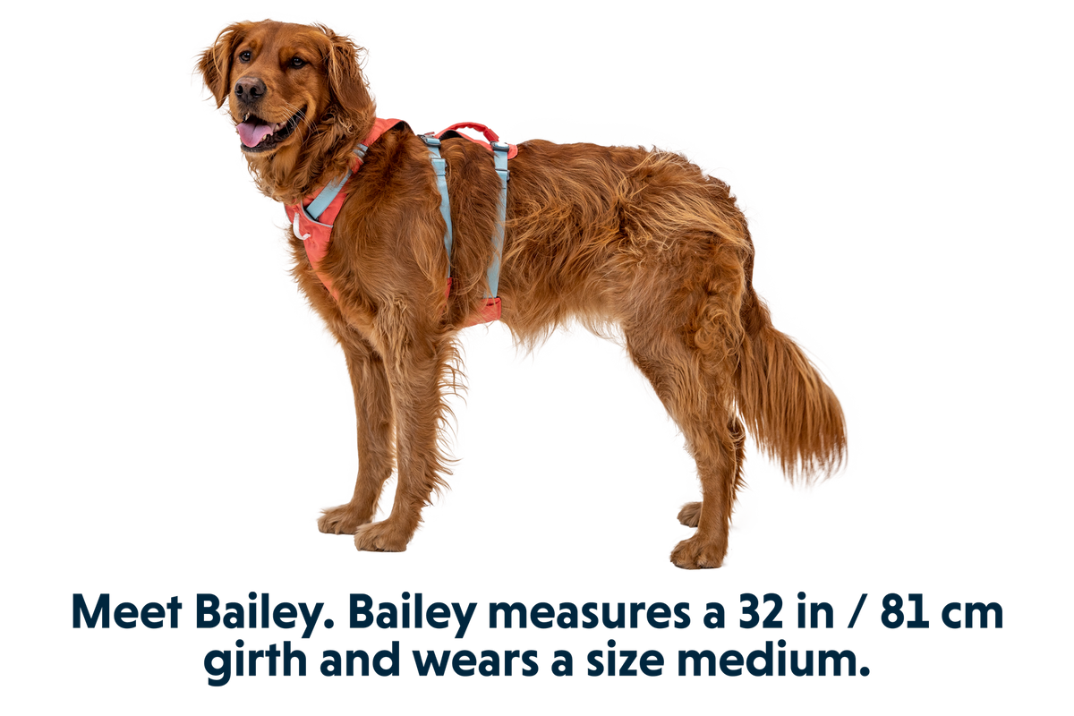 Flagline™ Dog Harness with Handle product image