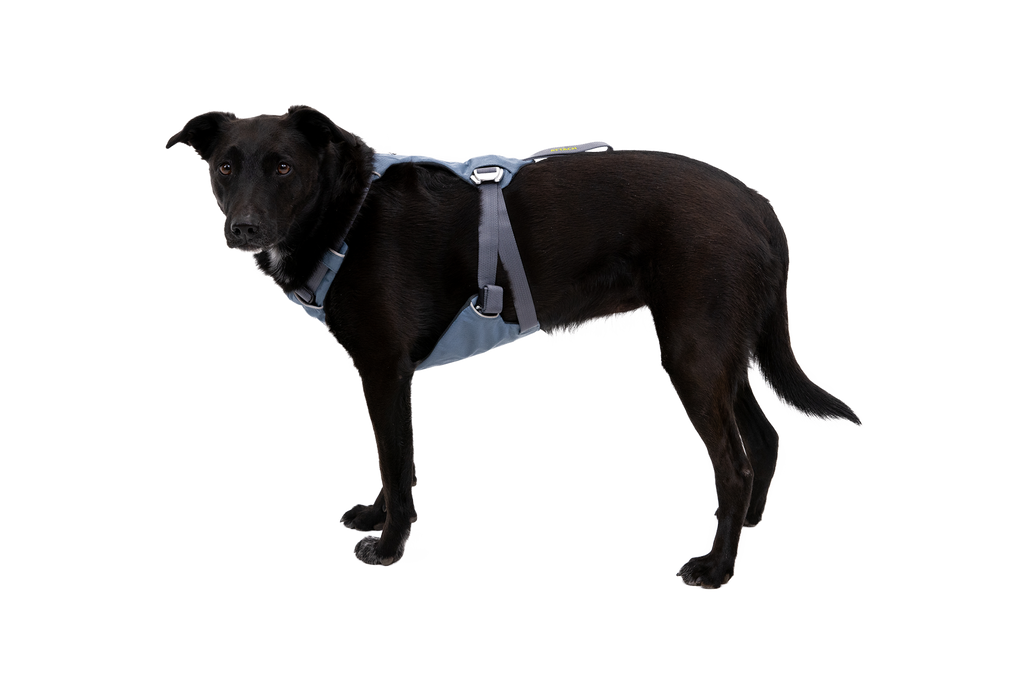 Load Up™ Dog Car Harness product image