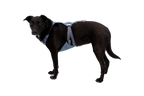 Load Up™ Dog Car Harness product image