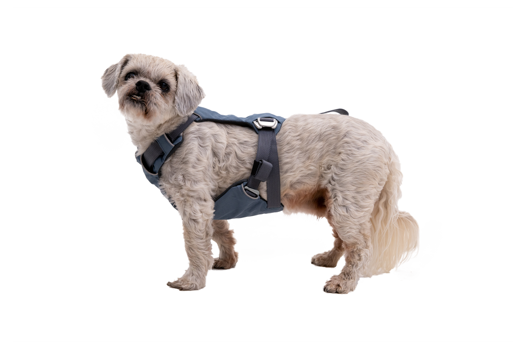 Load Up™ Dog Car Harness product image