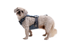 Load Up™ Dog Car Harness product image