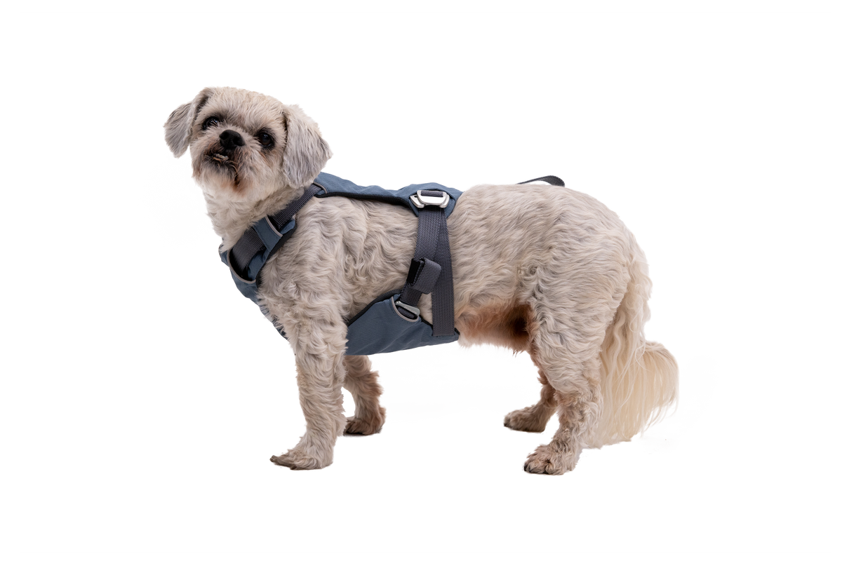 Load Up™ Dog Car Harness product image