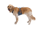 Load Up™ Dog Car Harness product image