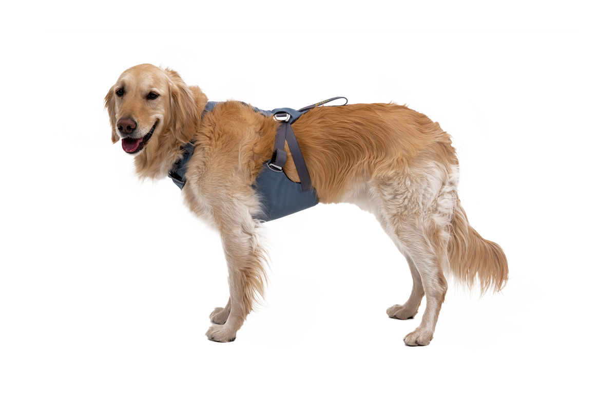 Load Up™ Dog Car Harness product image