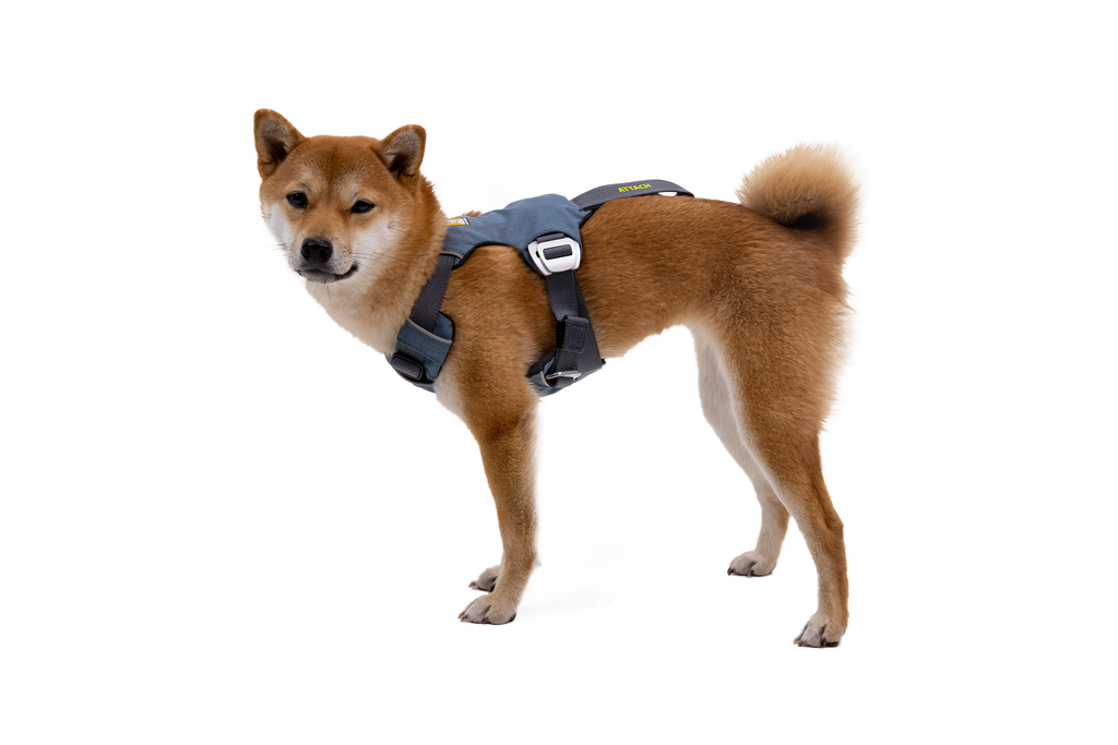 Load Up™ Dog Car Harness product image