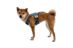 Load Up™ Dog Car Harness product image