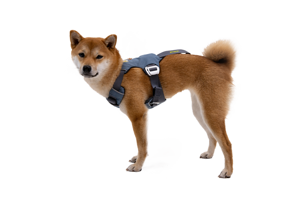 Load Up™ Dog Car Harness product image