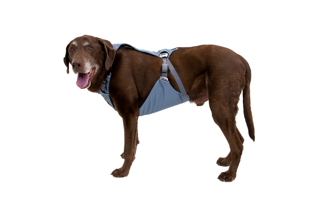 Load Up™ Dog Car Harness product image