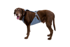 Load Up™ Dog Car Harness product image