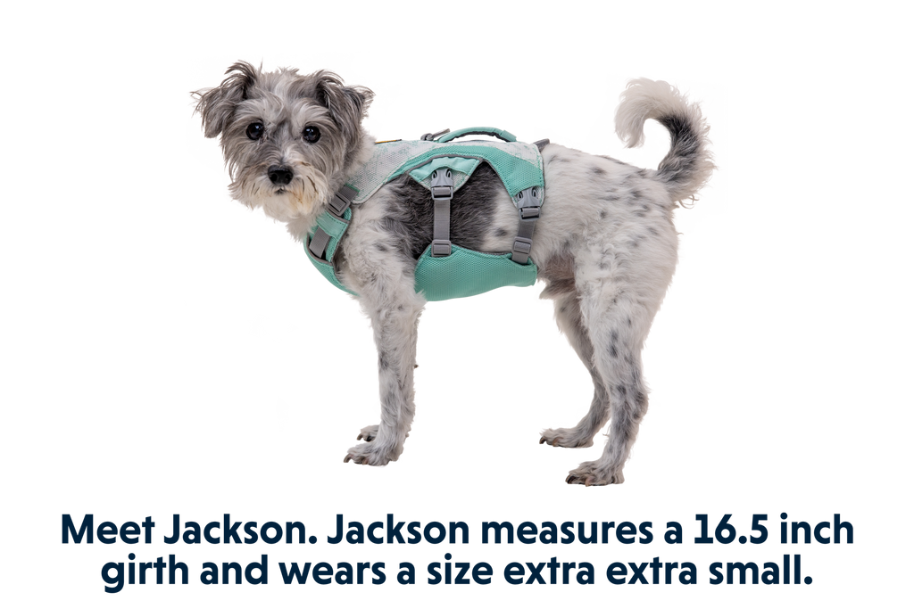 Swamp Cooler™ Harness product image