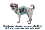 Swamp Cooler™ Harness product image