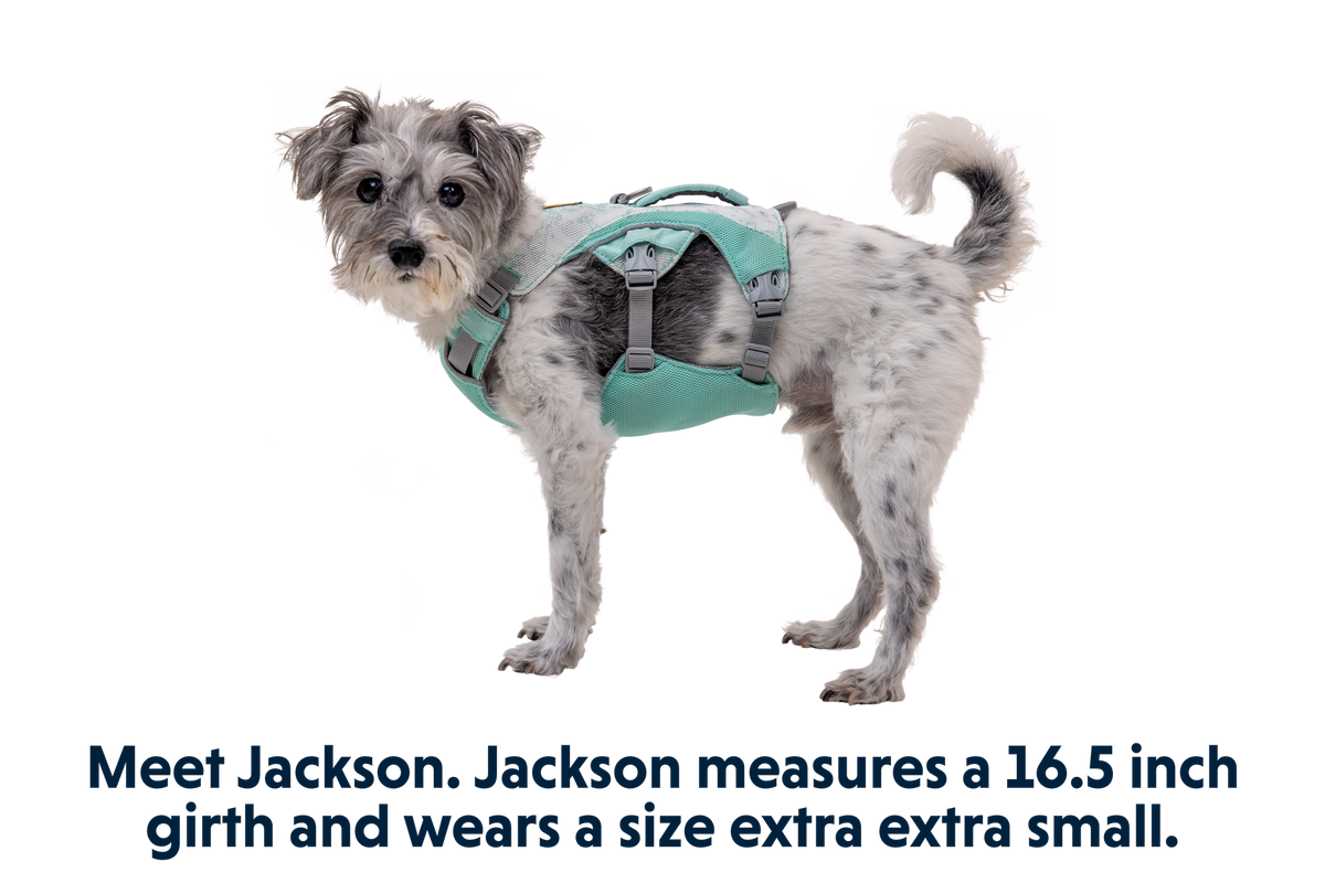 Swamp Cooler™ Harness product image