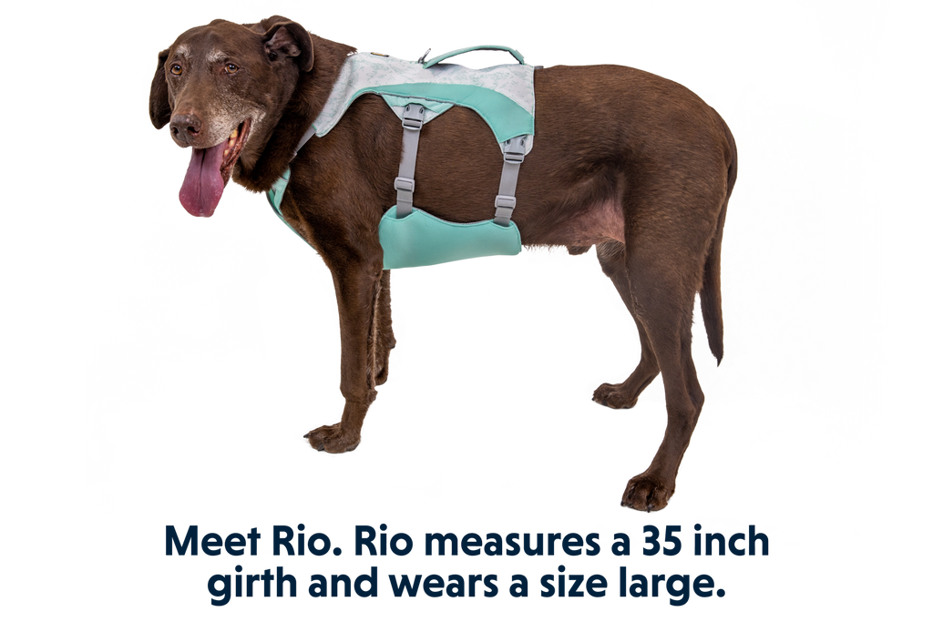 Swamp Cooler™ Harness product image