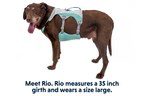 Swamp Cooler™ Harness product image