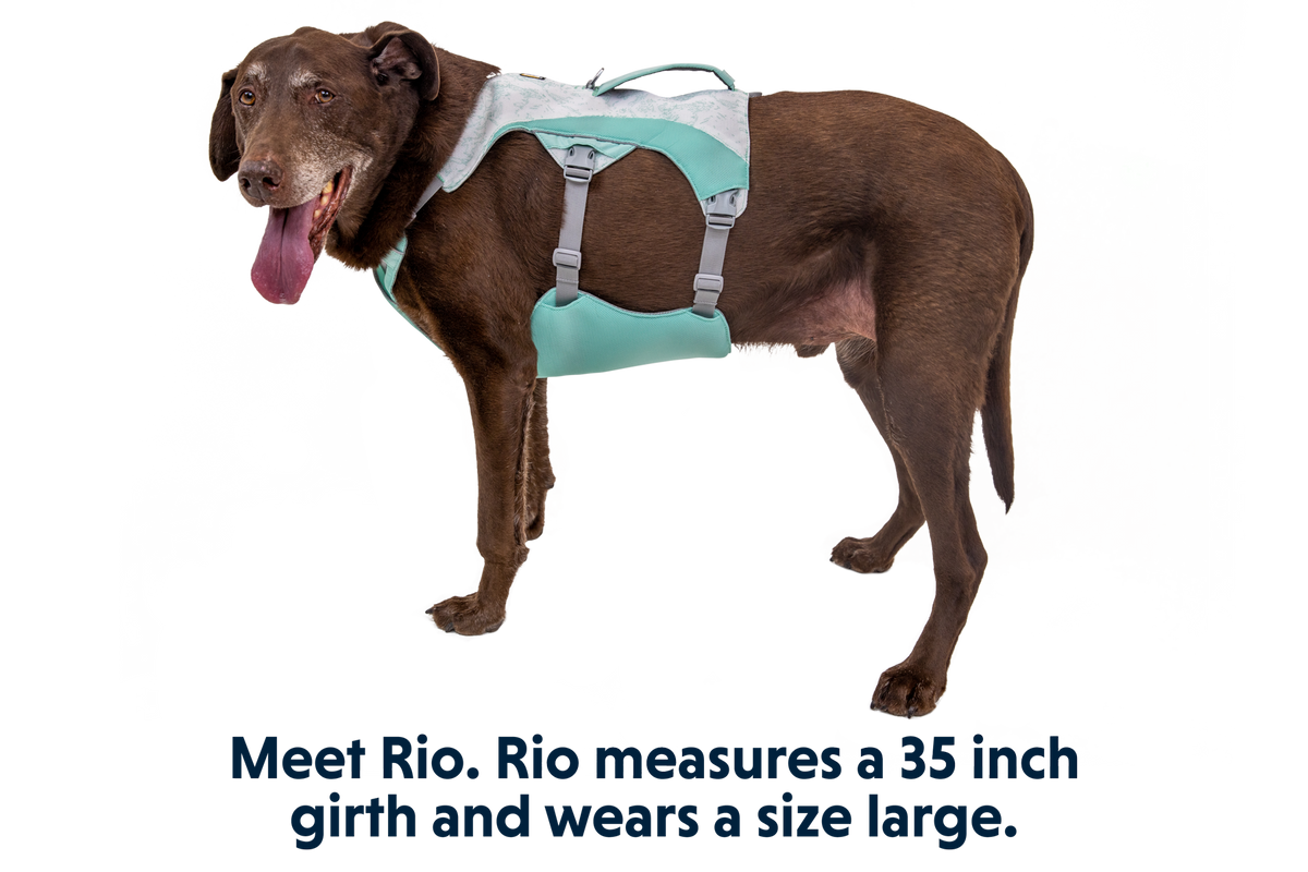 Swamp Cooler™ Harness product image