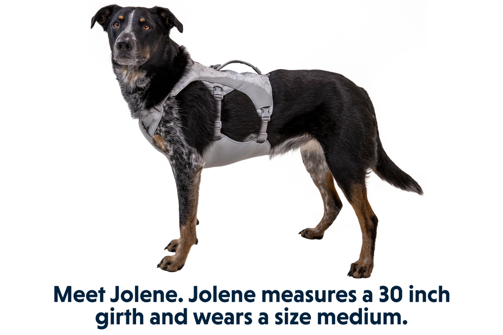 Swamp Cooler™ Harness product image