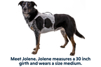 Swamp Cooler™ Harness product image