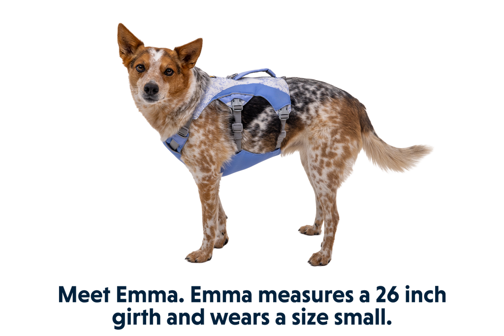 Swamp Cooler™ Harness product image