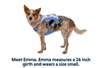 Swamp Cooler™ Harness product image