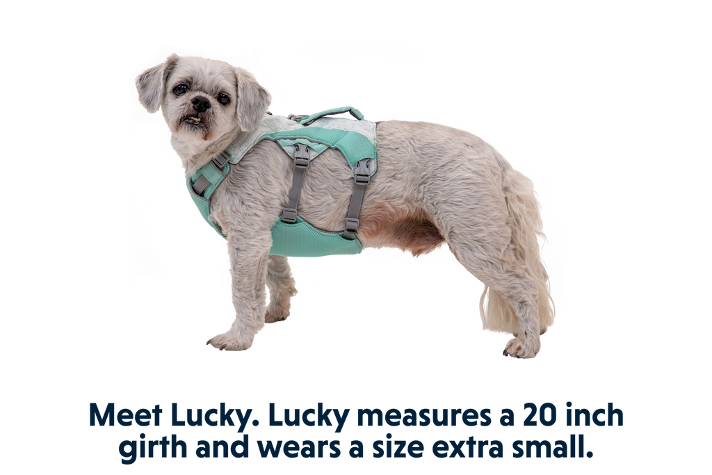 Swamp Cooler™ Harness product image