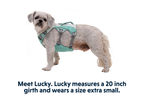 Swamp Cooler™ Harness product image