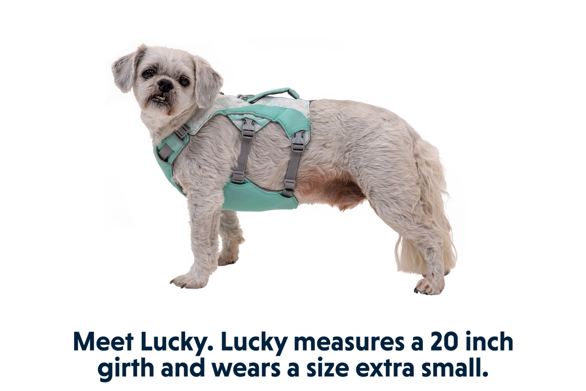 Swamp Cooler™ Harness product image