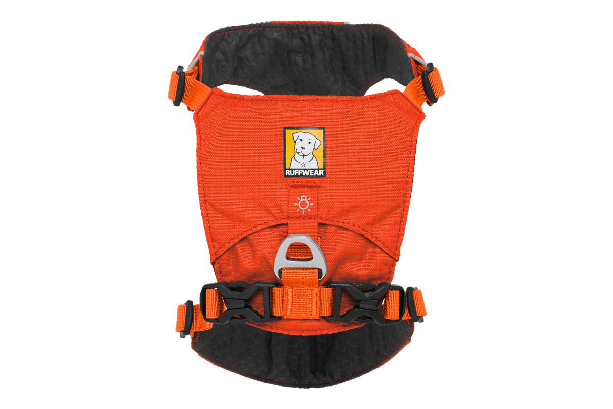 Hi & Light™ Lightweight Dog Harness product image