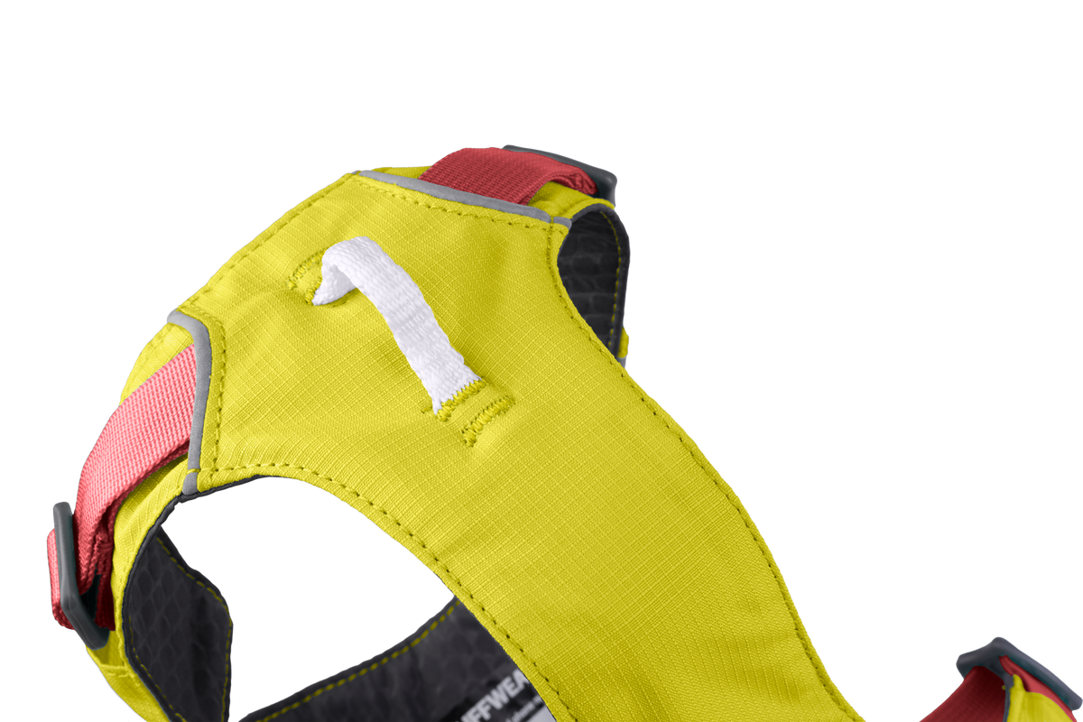Hi & Light™ Lightweight Dog Harness product image