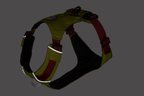 Hi & Light™ Lightweight Dog Harness product image