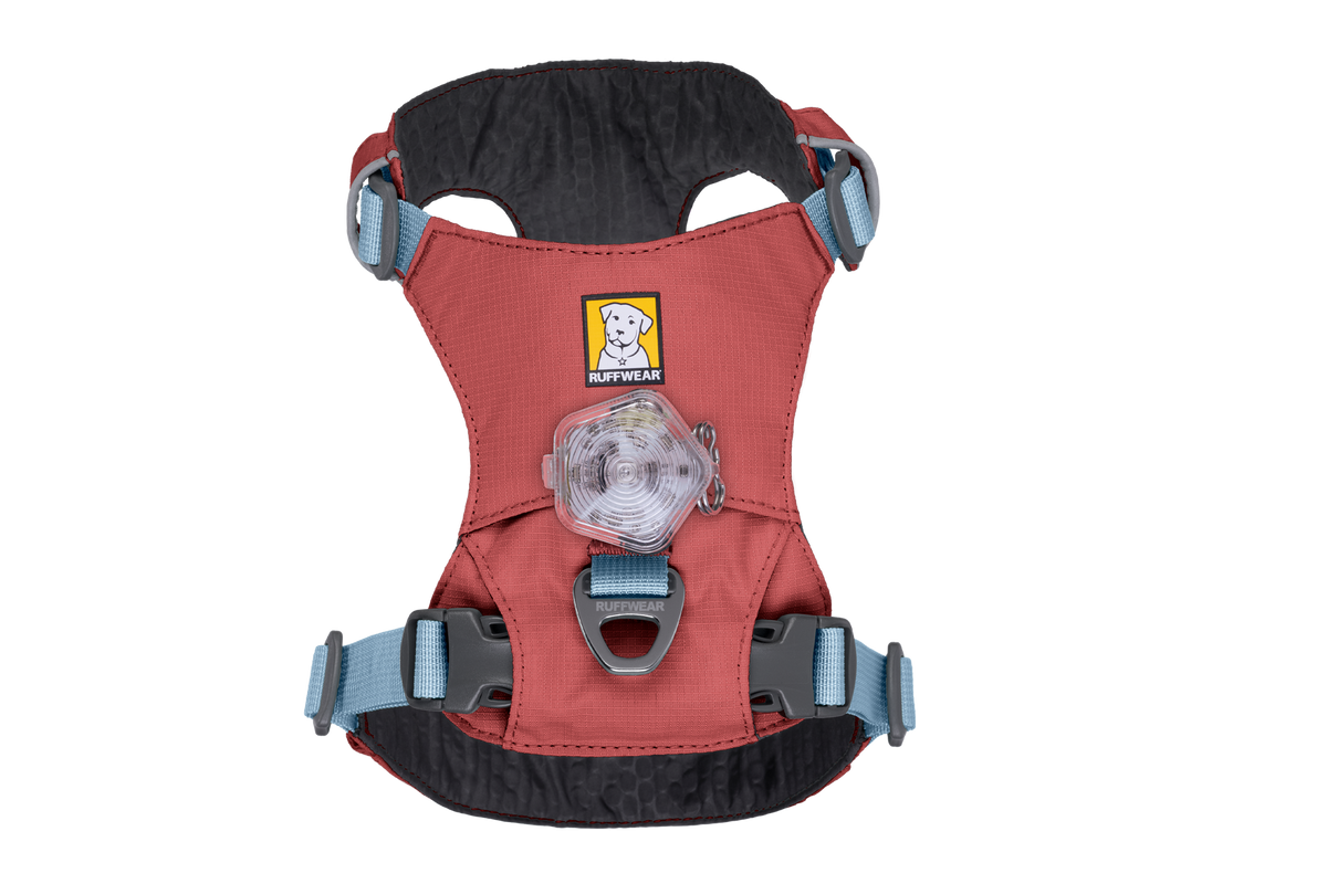Hi & Light™ Lightweight Dog Harness product image
