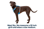 Hi & Light™ Lightweight Dog Harness product image