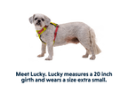 Hi & Light™ Lightweight Dog Harness product image
