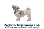 Hi & Light™ Lightweight Dog Harness product image