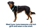 Hi & Light™ Lightweight Dog Harness product image