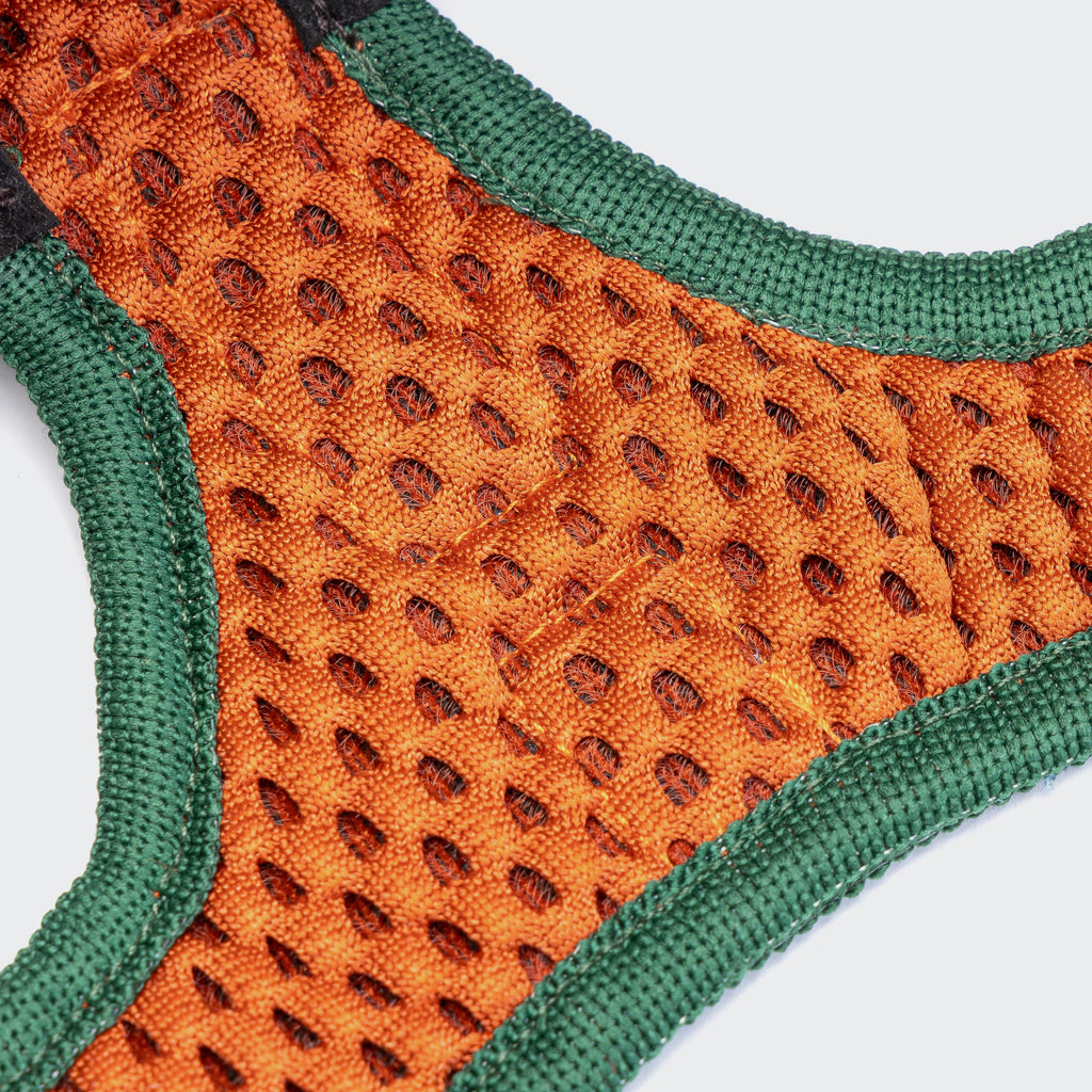 Step-in Harness Holly Park product image